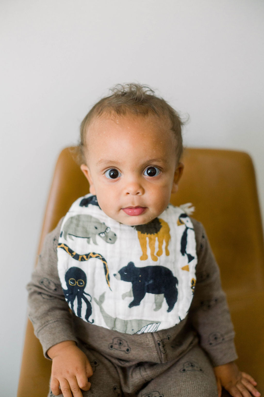 Zoology + Specs Bib Set