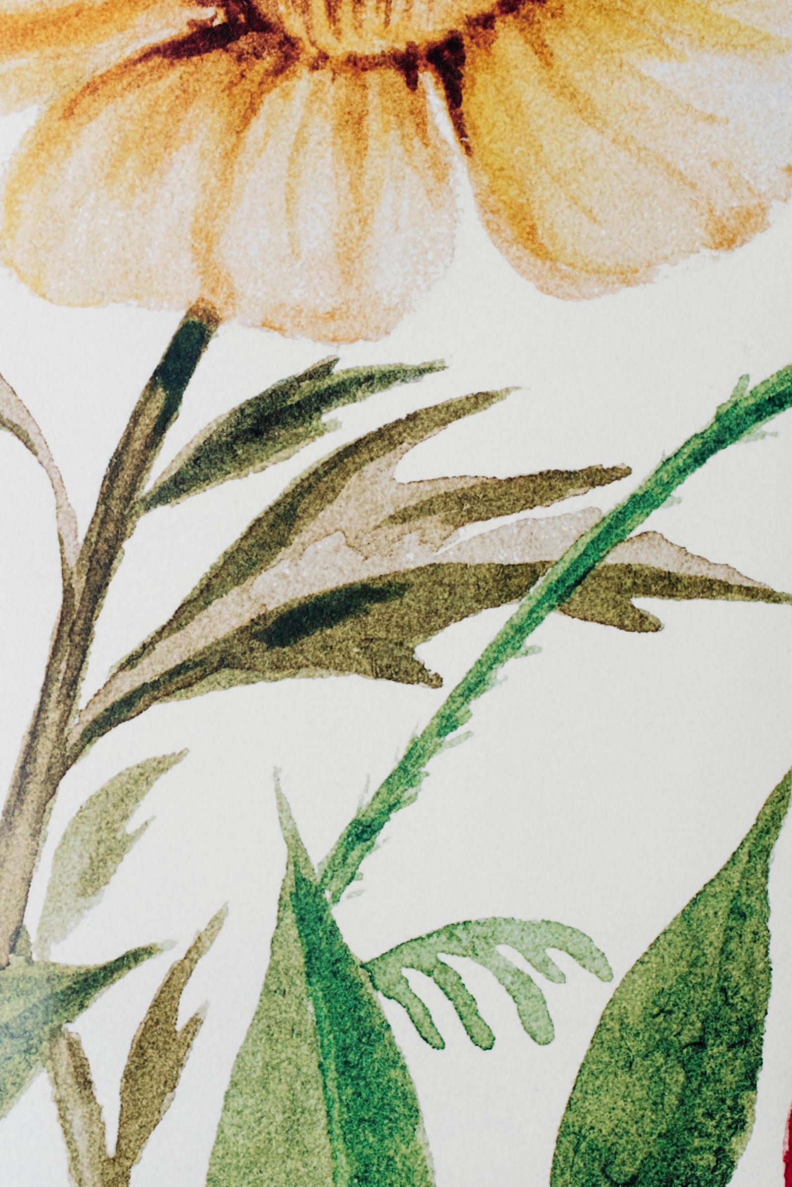 Juniper Wallpaper Mural - Project Nursery