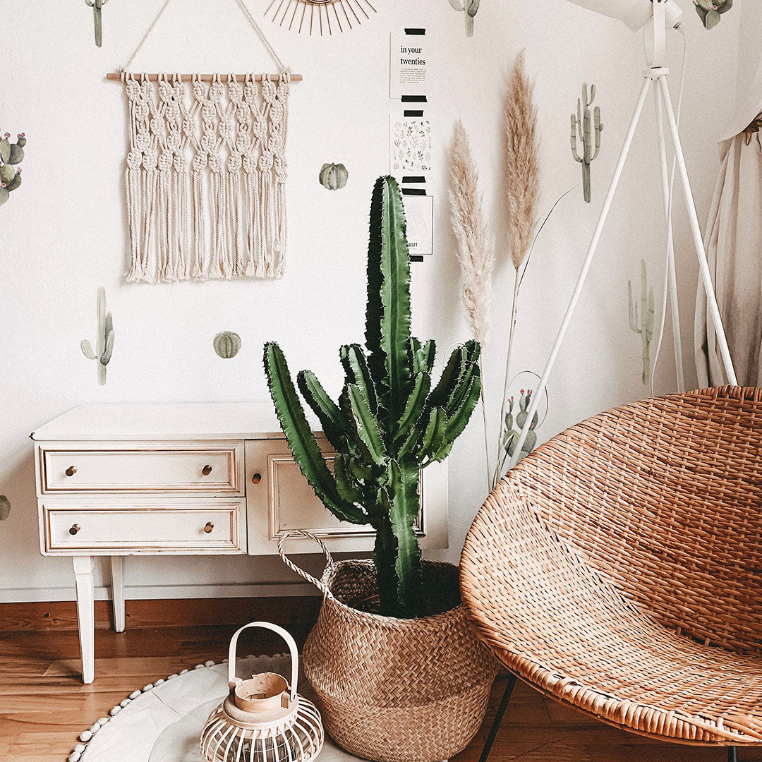 Mini Cactus Garden Wall Decals