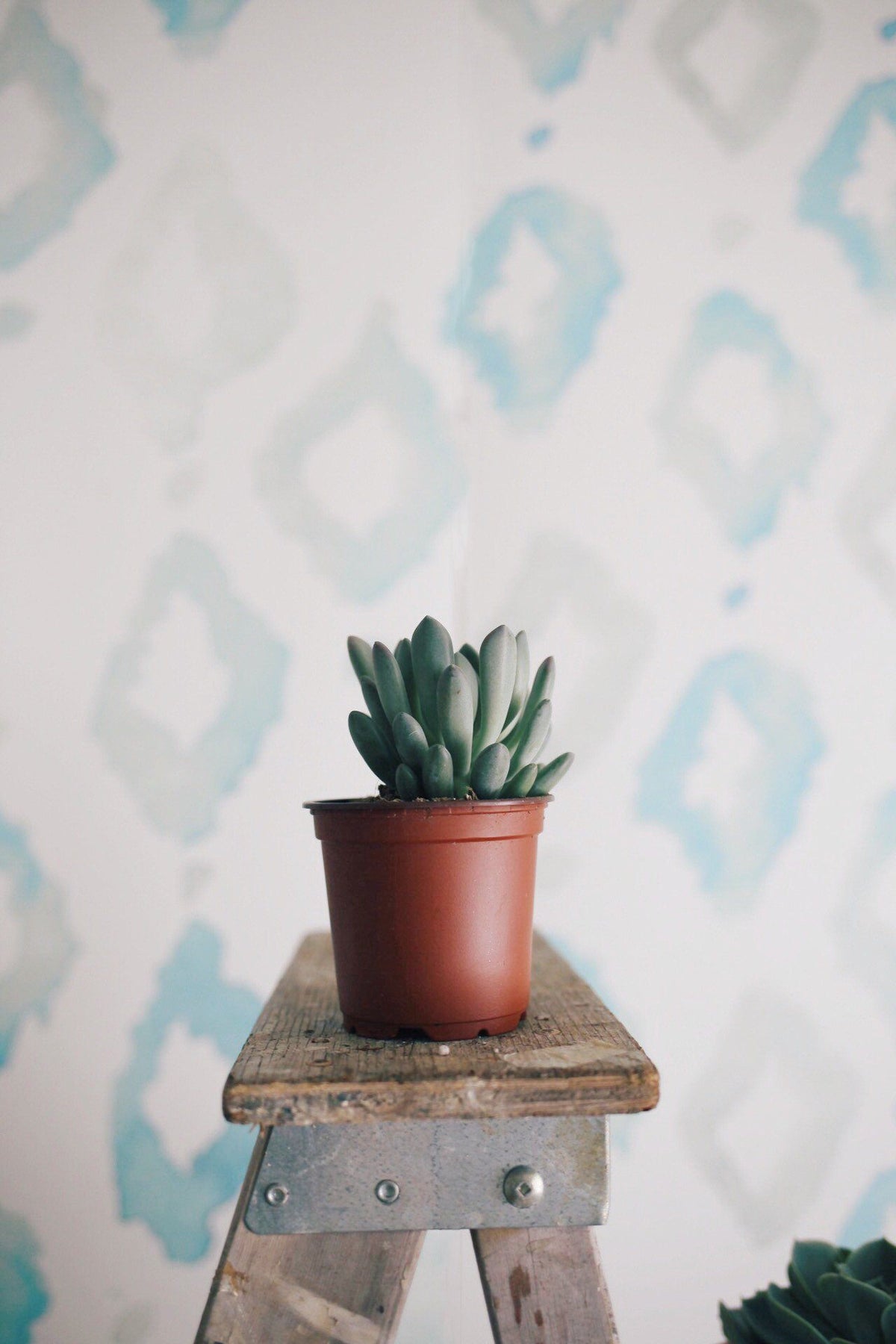Triangles Wallpaper Mural - Project Nursery