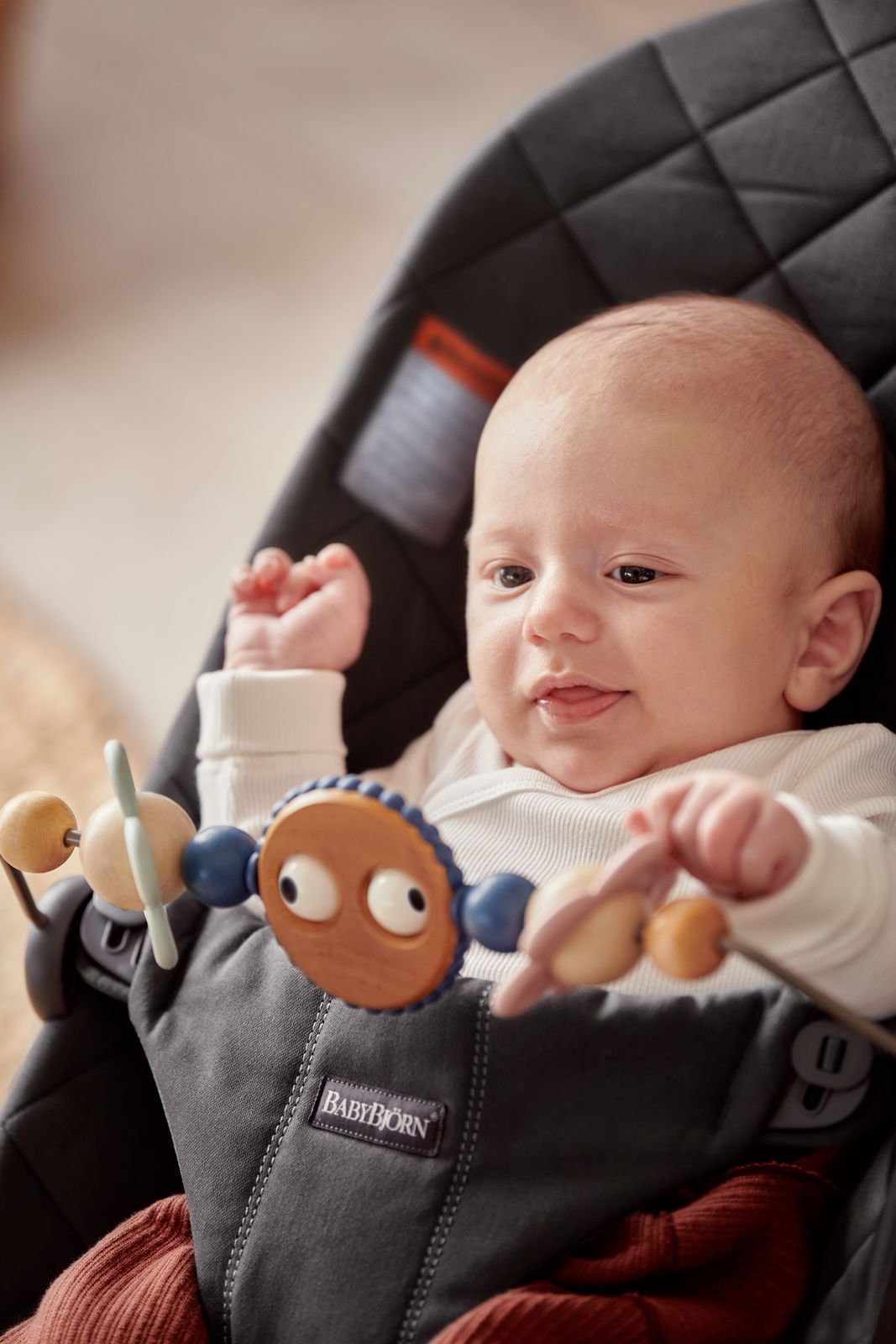 Baby bjorn toy store bouncer