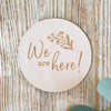 We are Here Milestone Disc - Project Nursery